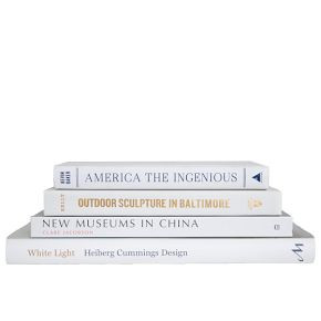 Modern ColorStak Books | West Elm (US)