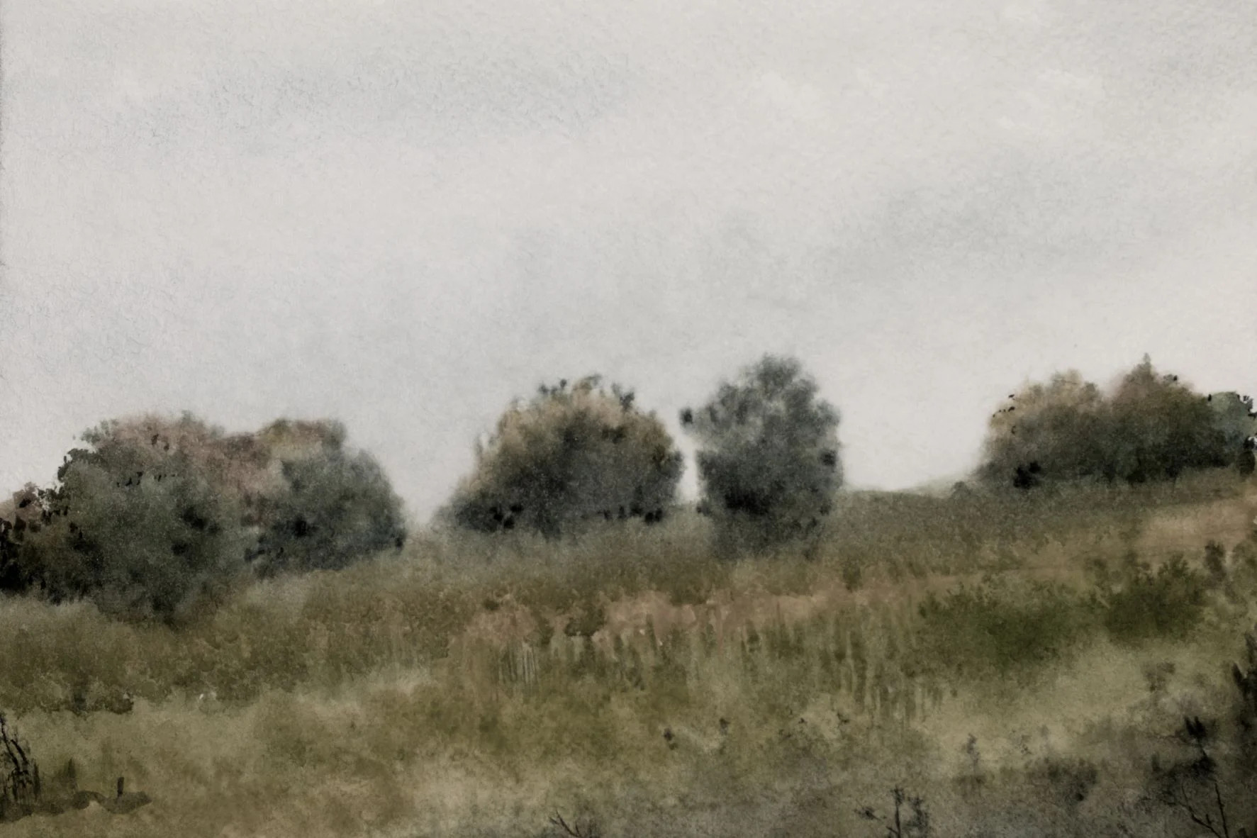 Flourishing Field V | Collection Prints