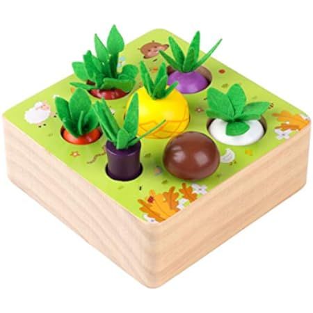 CENOVE Montessori Wooden Toys for 1 2 3 Year Old Boy Girl,STEM Educational Toys Shape Sorter Puzzle, | Amazon (US)