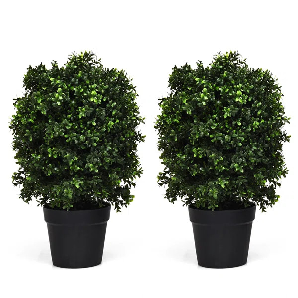 24'' Faux Boxwood Tree in Planter | Wayfair North America