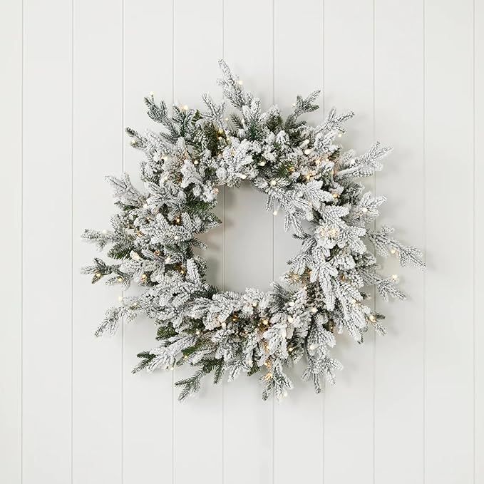Dandan Flocked Pine 24" Wreath with Warm LED Lights Indoor Outdoor | Plug in Warm White LED Light... | Amazon (US)