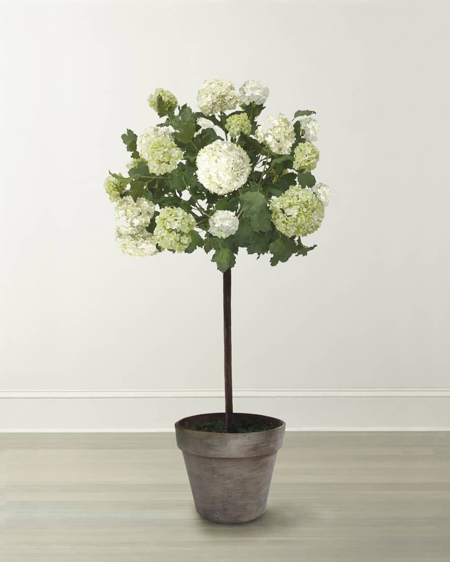 Snowball Flower Tree in Pot | Neiman Marcus