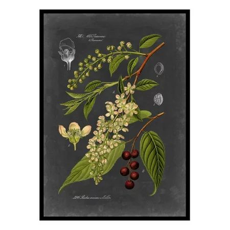 Midnight Botanical II Vintage Floral Illustration Print Wall Art By Vision Studio | Walmart (US)