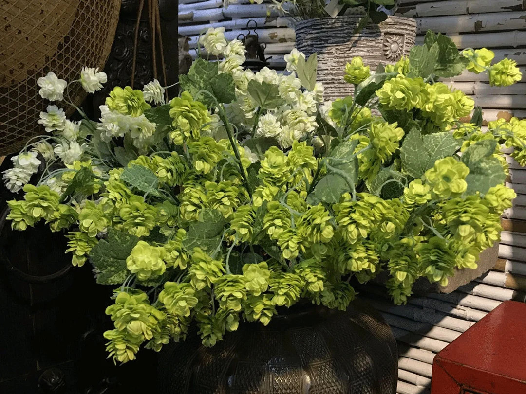 Quality Beer Hop Flower Long Stem Artificial Humulus Lupulus - Etsy | Etsy (US)