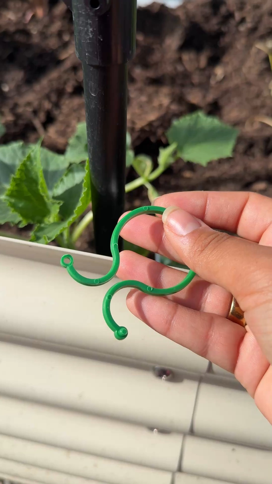 What i’m using to train my plants in my garden to climb my trellis!!! 

gardening
plant clips 

#LTKSummerEdit #LTKSeasonal #LTKHome
