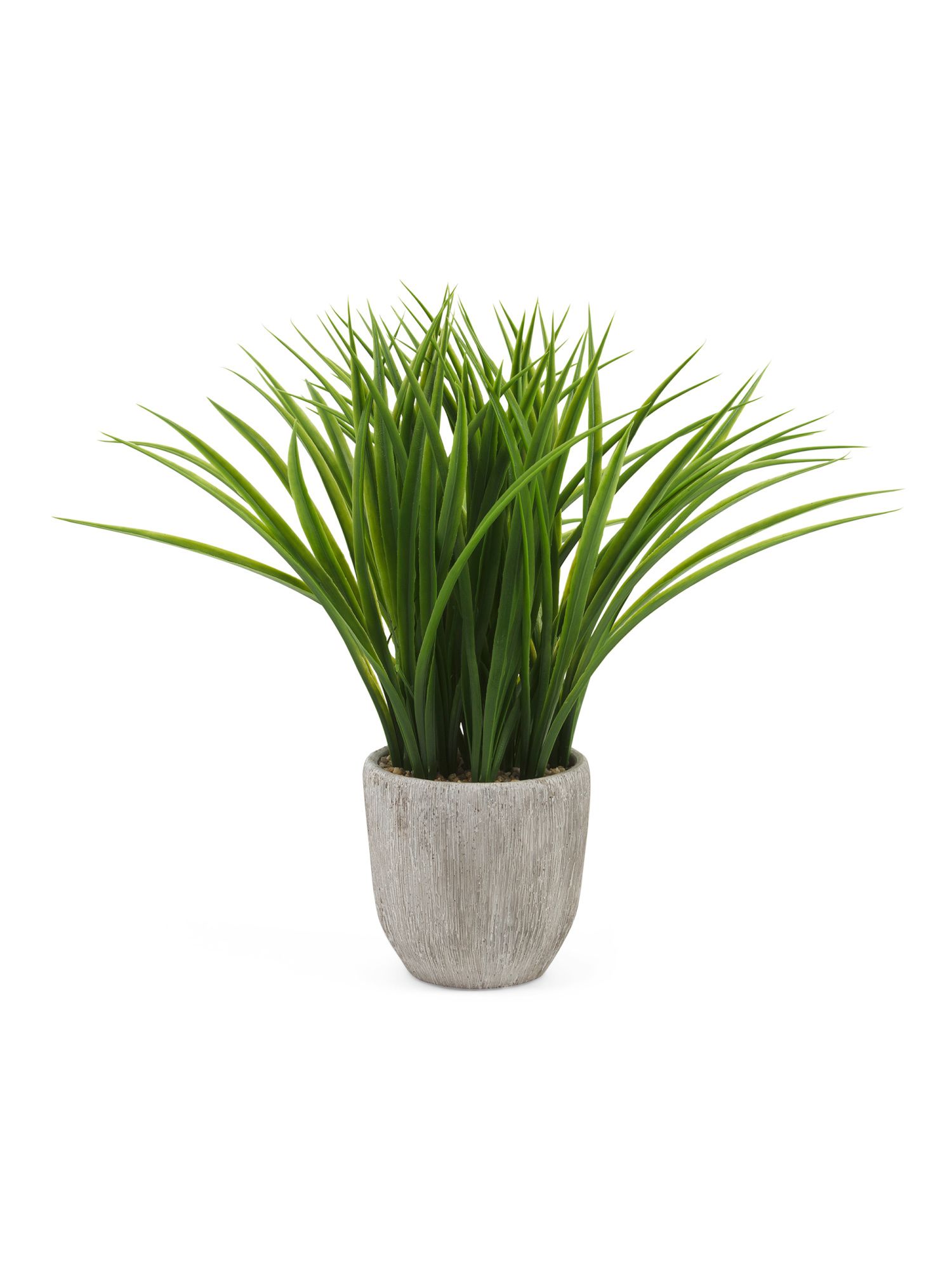 Grass In Vertical Grain Pot | Plants & Planters | Marshalls | Marshalls