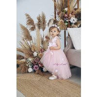 Pink Baby Butterfly Style First Birthday Dress, Flower Girl Special Occasion Princess Dress Prom Gown, Pageant Toddler | Etsy (US)