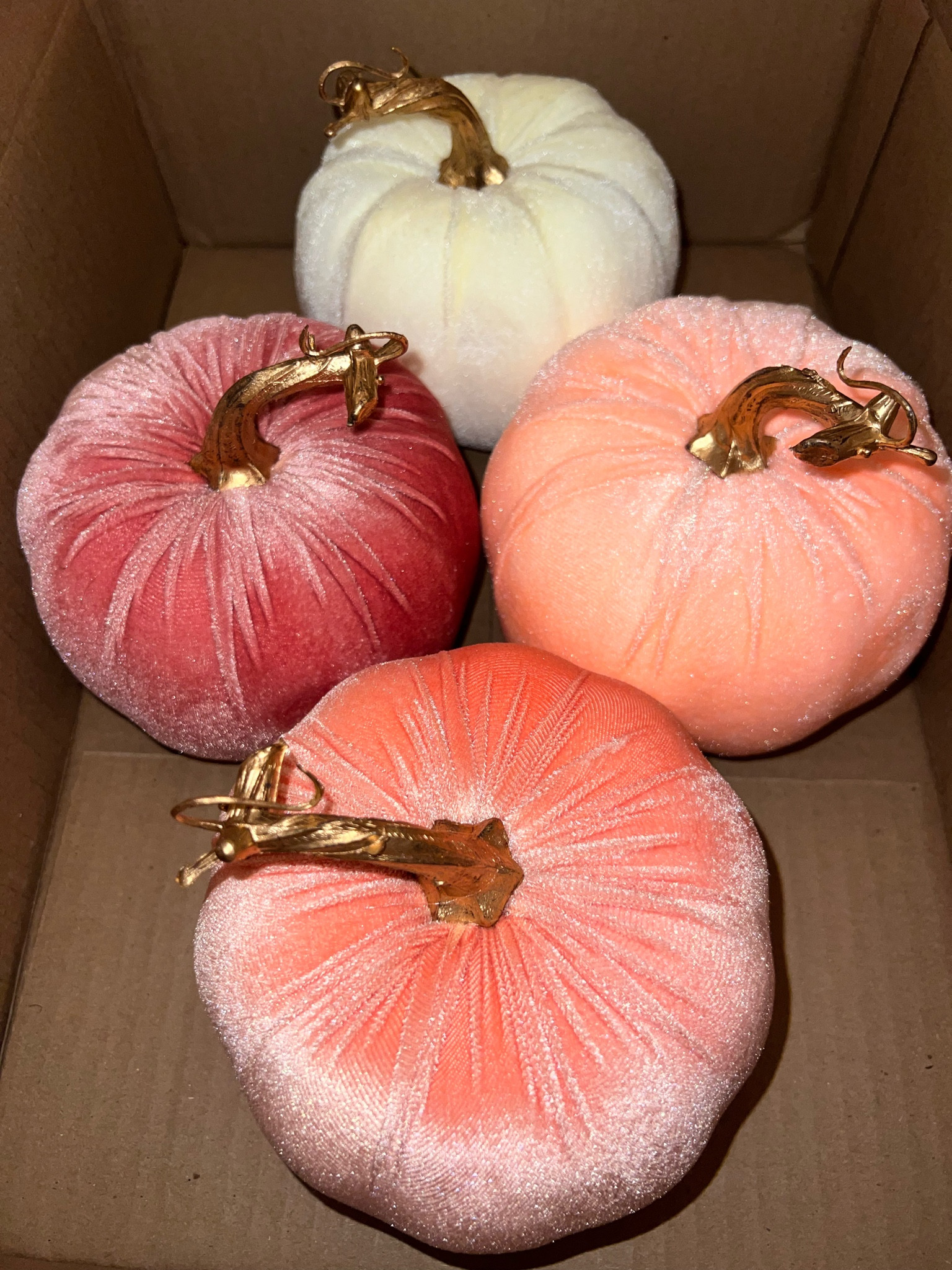 IM SCREAMING!! These are so cute! Perfect for fall! They come in different colors and they are a little bigger than my hand!! 

#LTKHome #LTKFallSale #LTKSeasonal