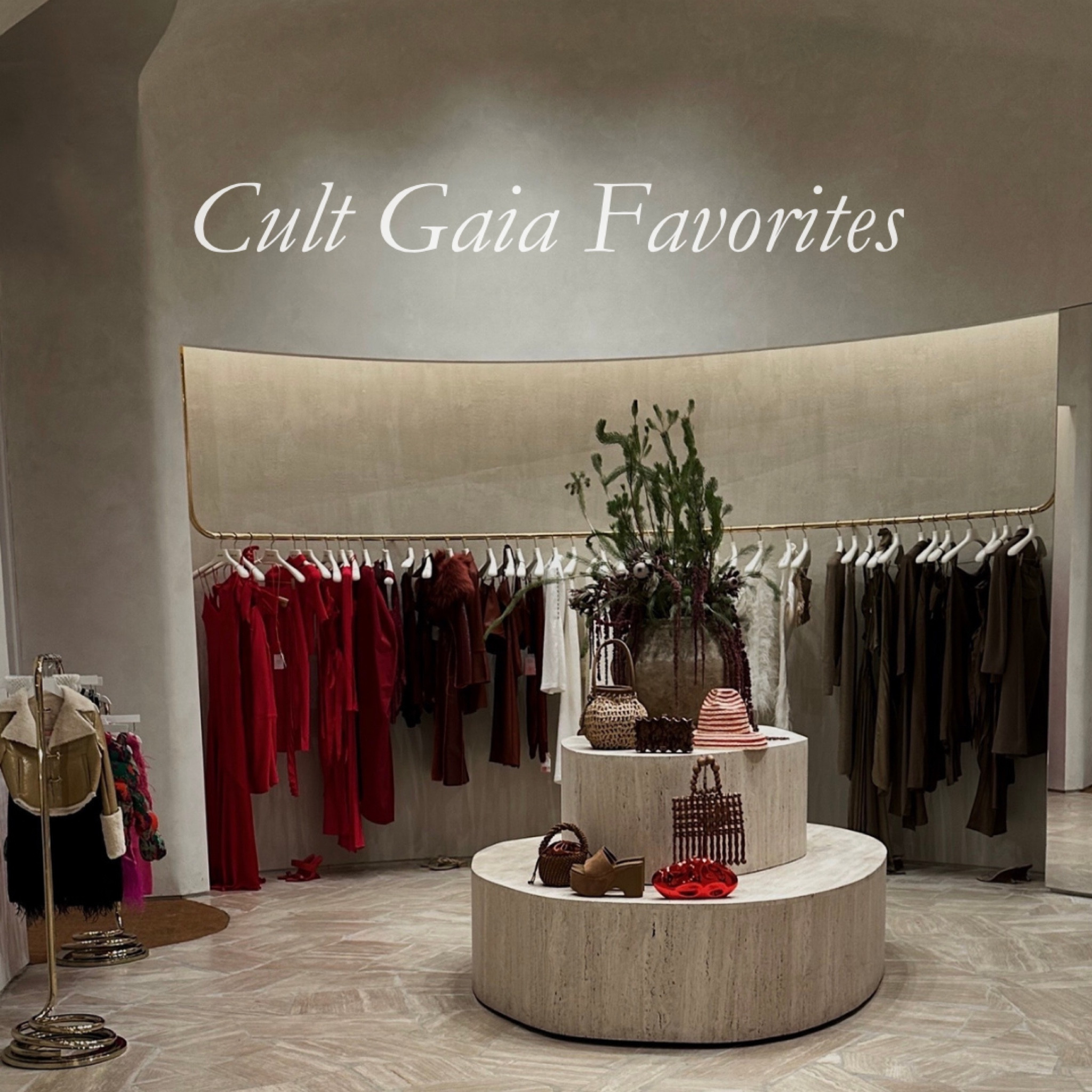 my current cult gaia faves — 

cult gaia is one of my absolute favorite brands, their pieces are so unique and each one adds such an interesting element to any outfit. here are some of my recent faves!



#LTKstyletip #LTKshoecrush #LTKitbag