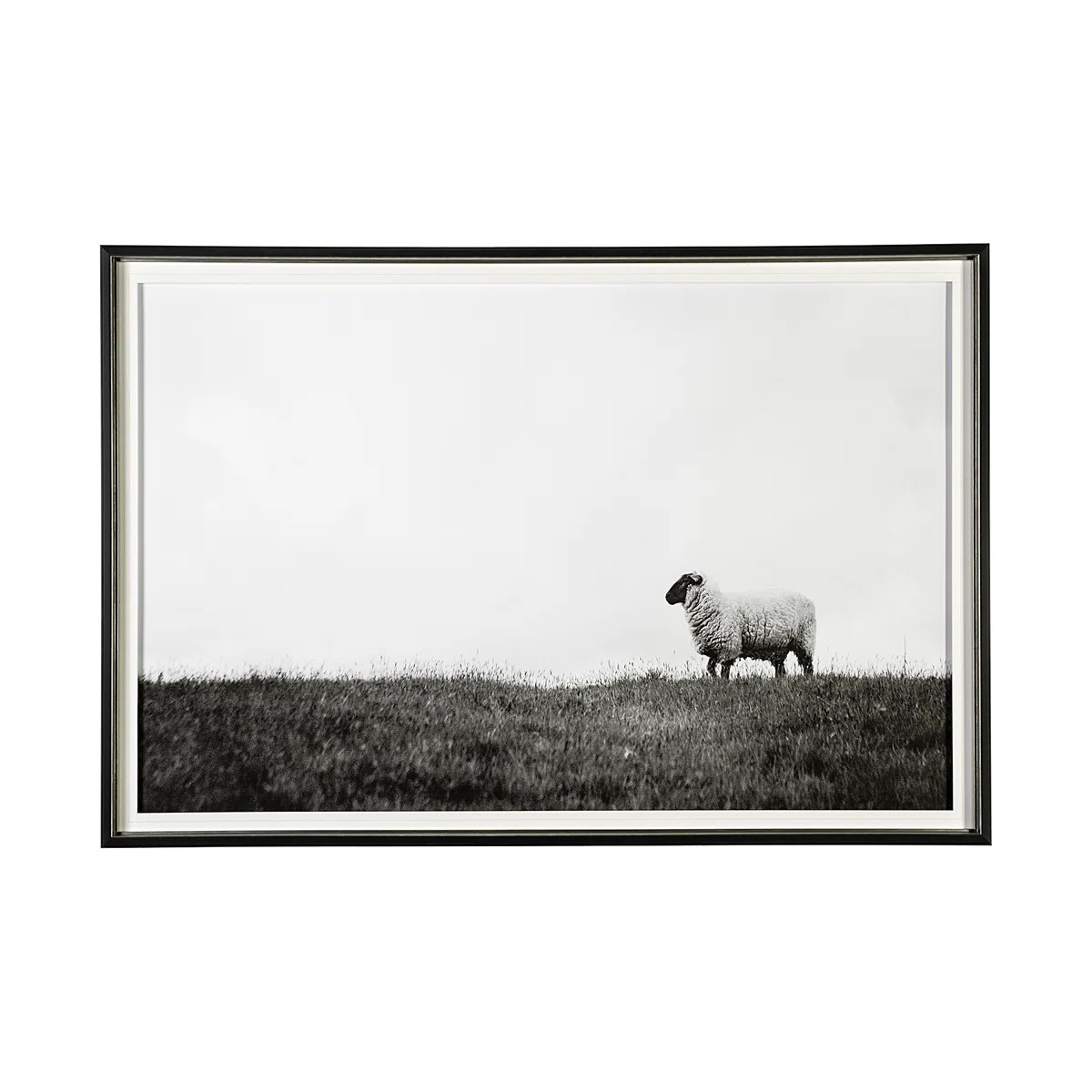 Islay Sheep I by Laura Marshall a Framed Art Print Matted under Glass | Wayfair North America