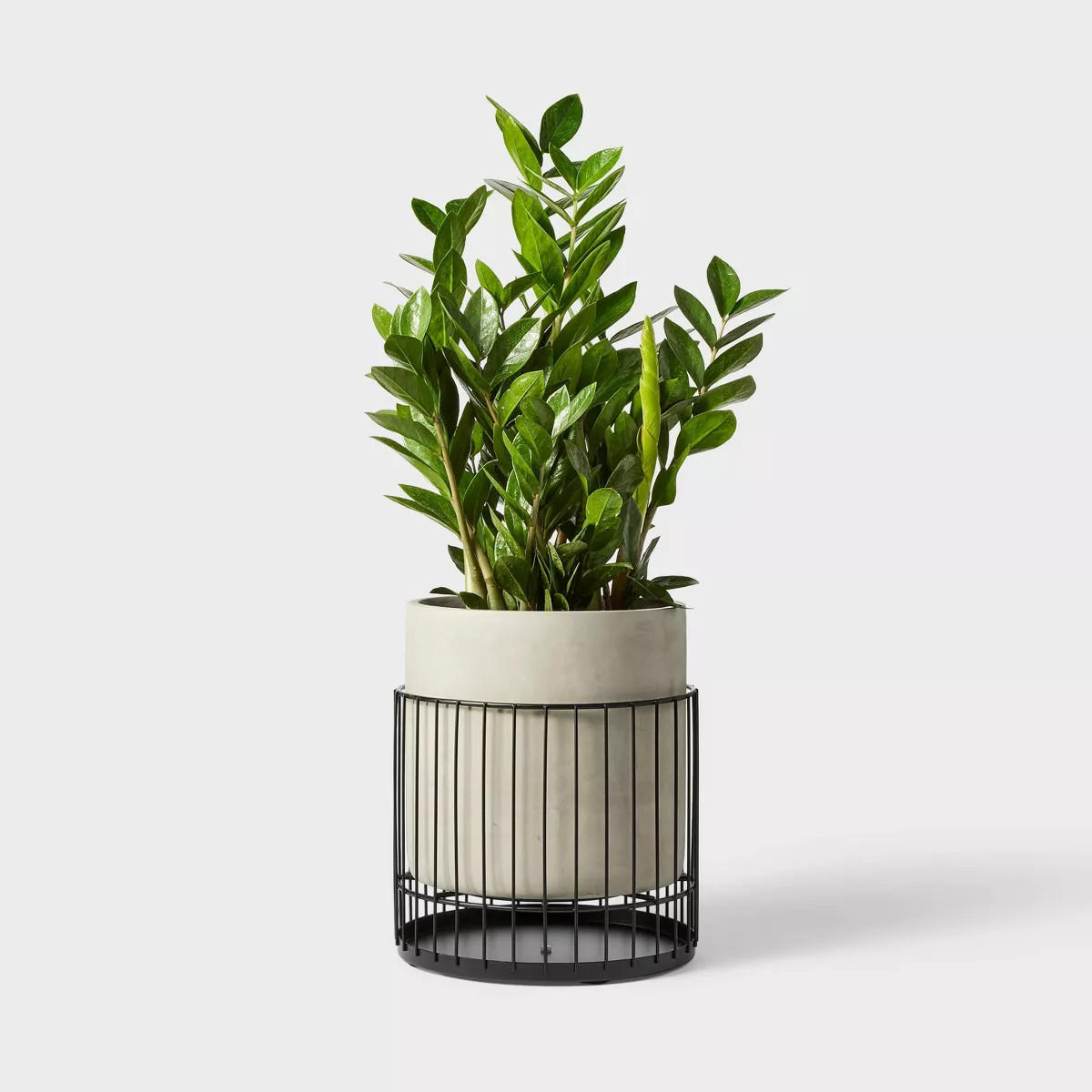 Hilton Carter for Target with Metal Stand Indoor Outdoor Planter | Target