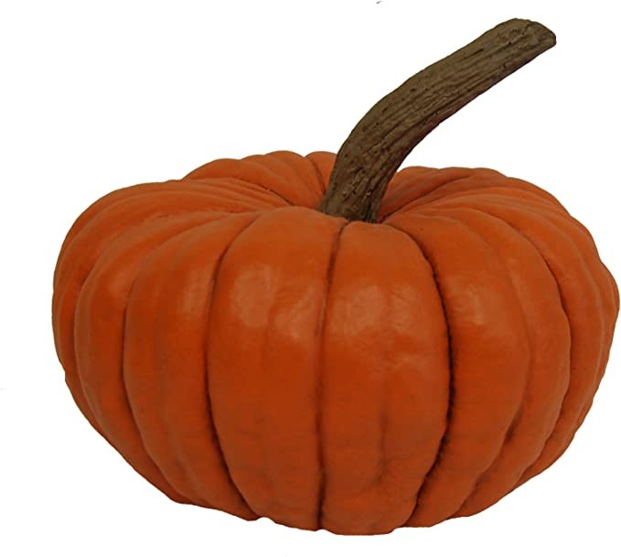 Hickory Manor House Long Stem Fall Harvest Pumpkin for Home Decor | Amazon (US)