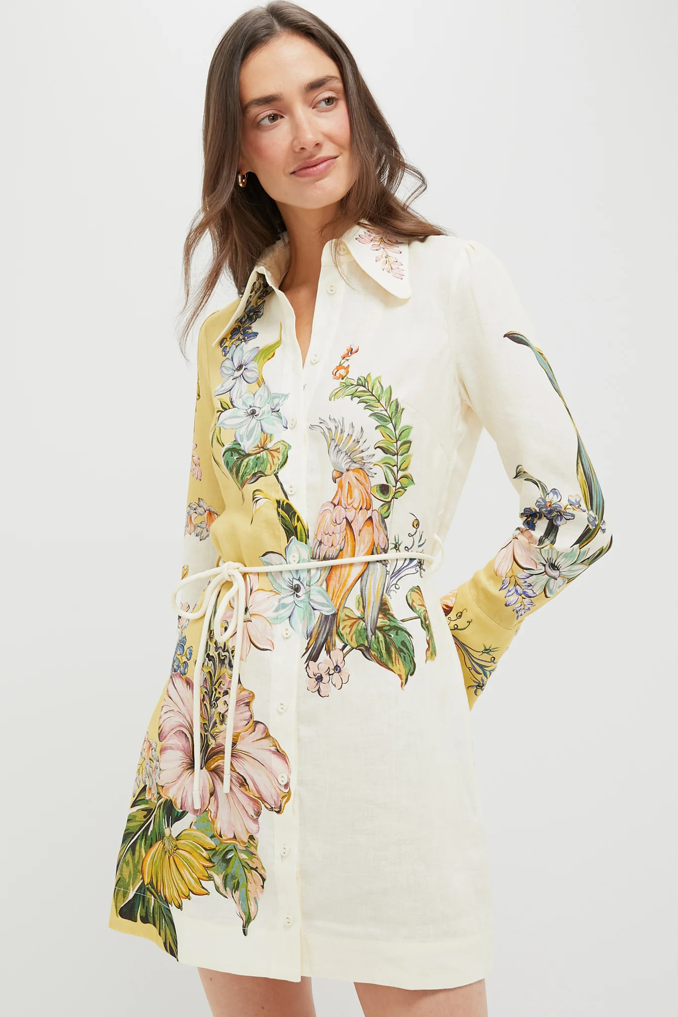 Multi Oleander Mini Dress | Tuckernuck (US)