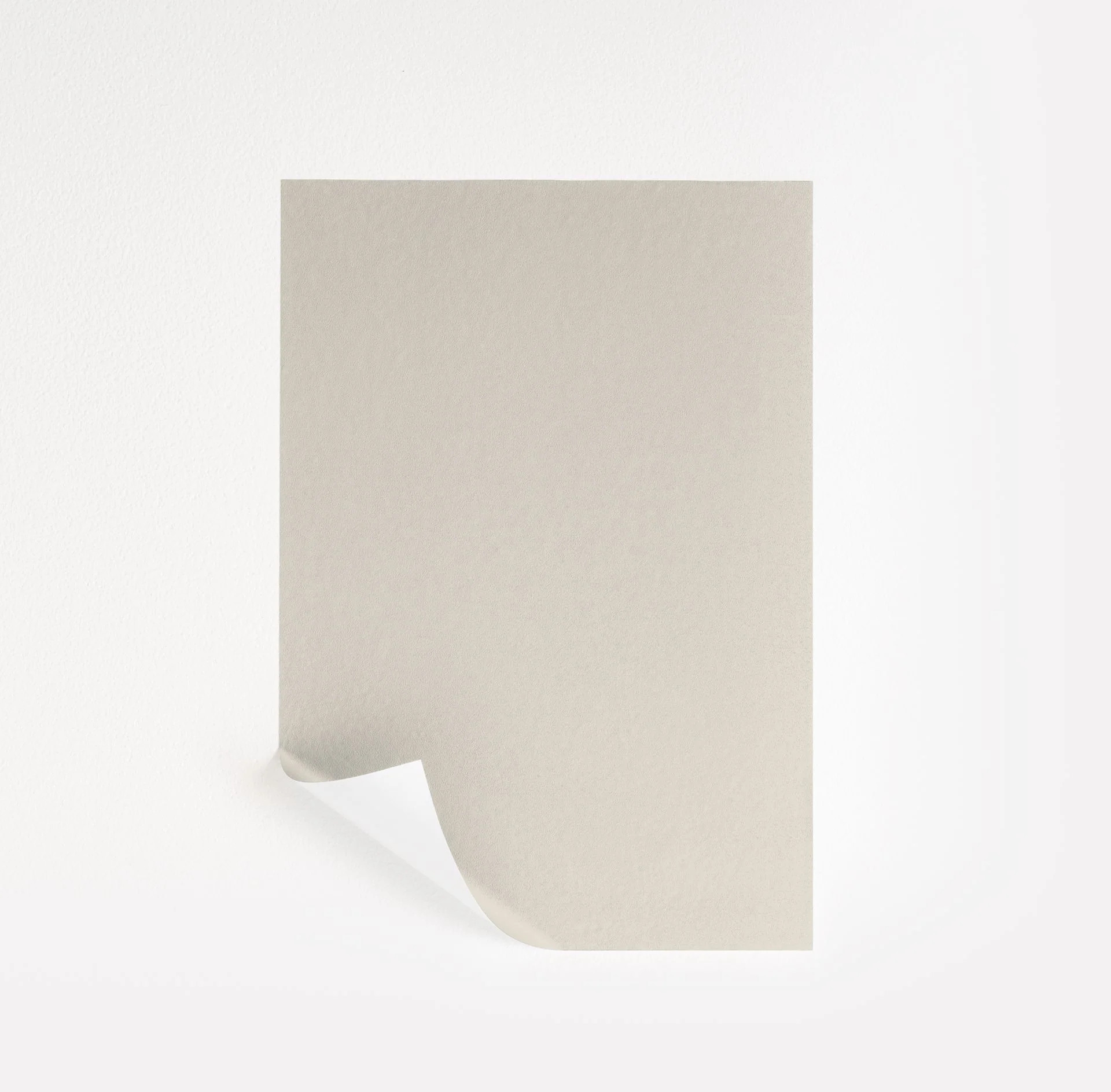 Oyster White Paint Sample by Sherwin-Williams (7637) | Peel & Stick Paint Sample | Samplize