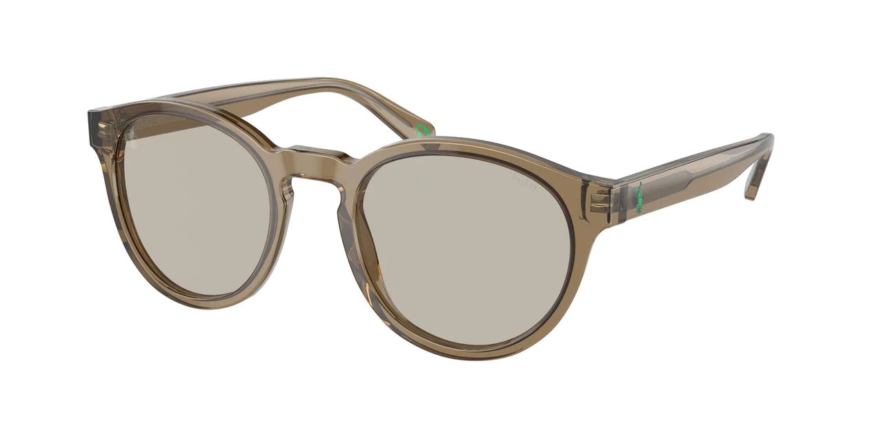 Polo 4192F Sunglasses | Designer Optics