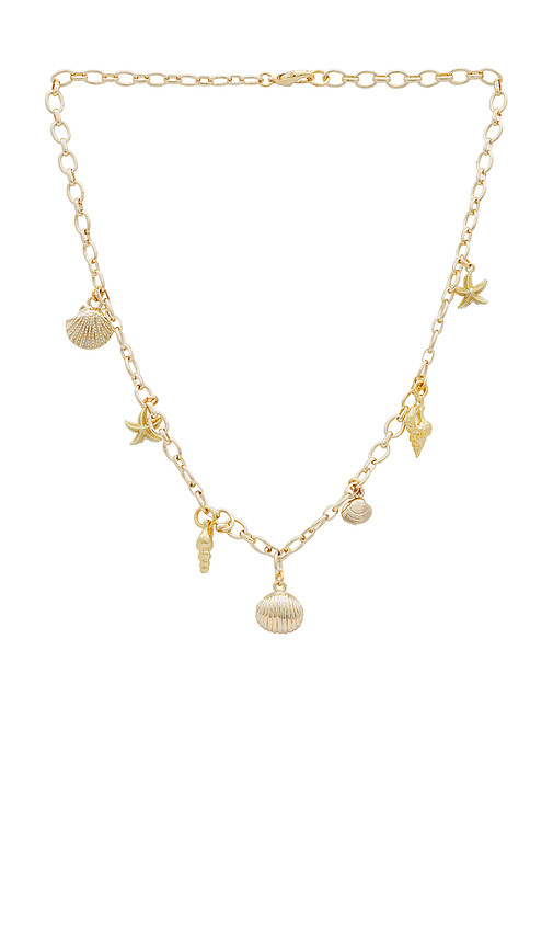 Chain Charm Necklace in Gold | Revolve Clothing (Global)