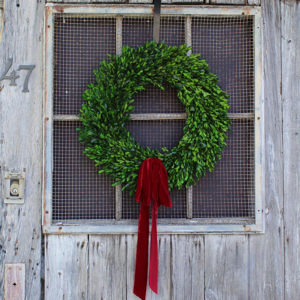Handcrafted Preserved Boxwood 22'' Wreath | Wayfair North America