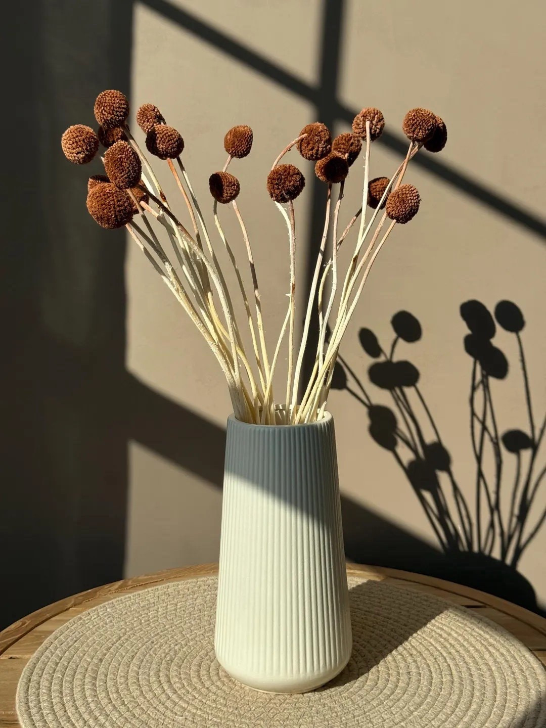 Bring a fun, modern touch to your florals with dried Billy Balls by EverdriedBloom. These playful globe-shaped stems add instant texture and personality, whether styled solo in a vase or mixed into larger arrangements. Available in earthy brown or fresh green and offered in multiple quantities, they’re perfect for DIY projects, weddings, centerpieces, or minimalist shelf styling. Long-lasting and full of charm, these stems make creative decorating effortless.

#LTKhome #EtsySupplies #DriedFlowers #BillyBalls #FloralDIY #ModernDecor #BohoStyle #EverlastingFlorals #CraftSupplies

#LTKHome #LTKSeasonal #LTKWedding