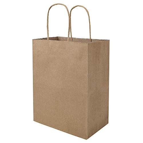 Kraft Paper Gift Bags with Handles - 8x4.25x10.5 25 Pcs Brown Shopping Bags, Party Bags, Goody Bags, | Amazon (US)