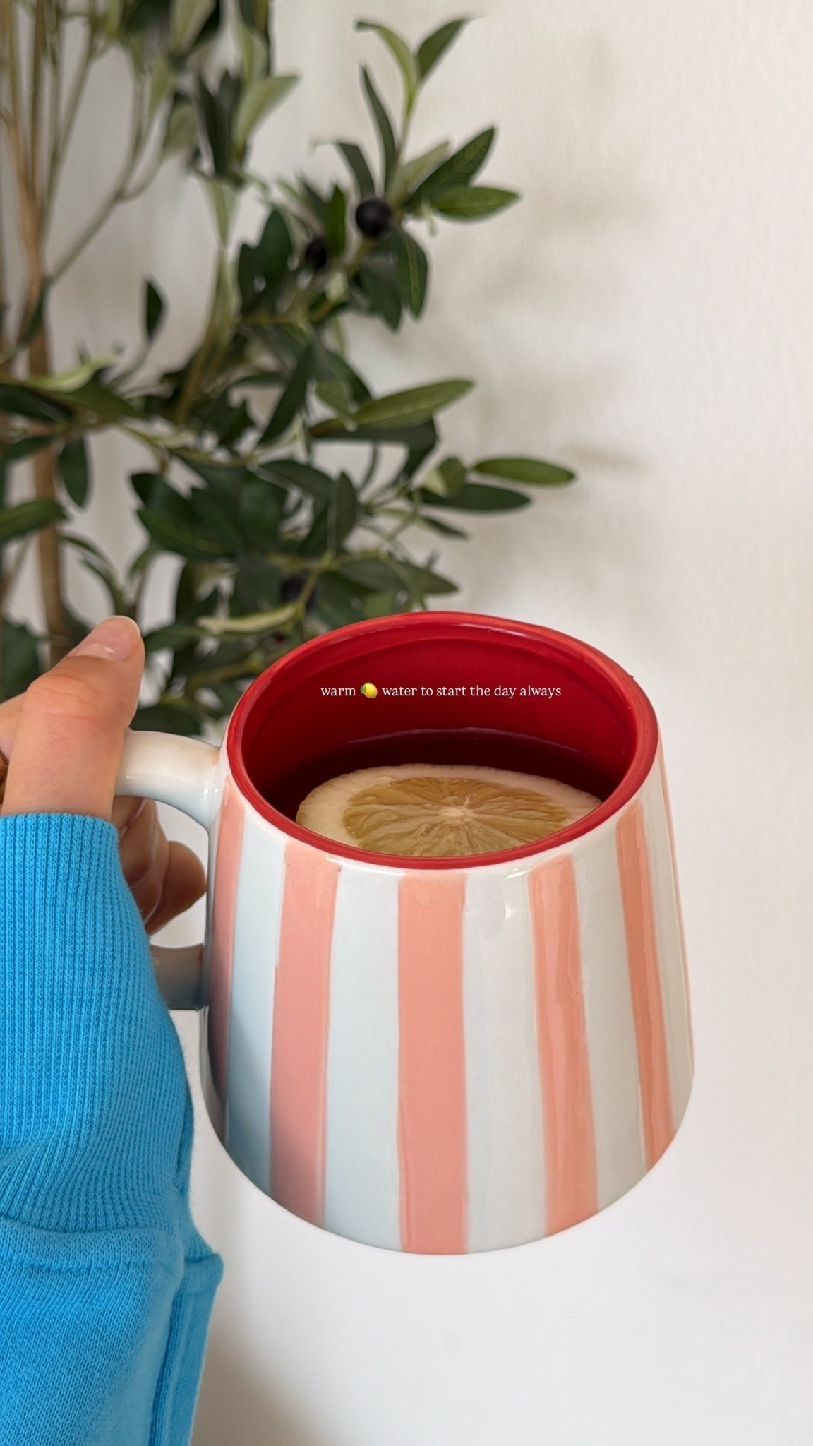 warm 🍋 water to start the day always

#LTKHome #LTKmorningroutine #LTKfitnessgoals