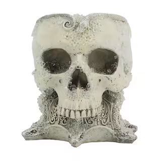 6" Skull Container Tabletop Décor by Ashland® | Michaels | Michaels Stores