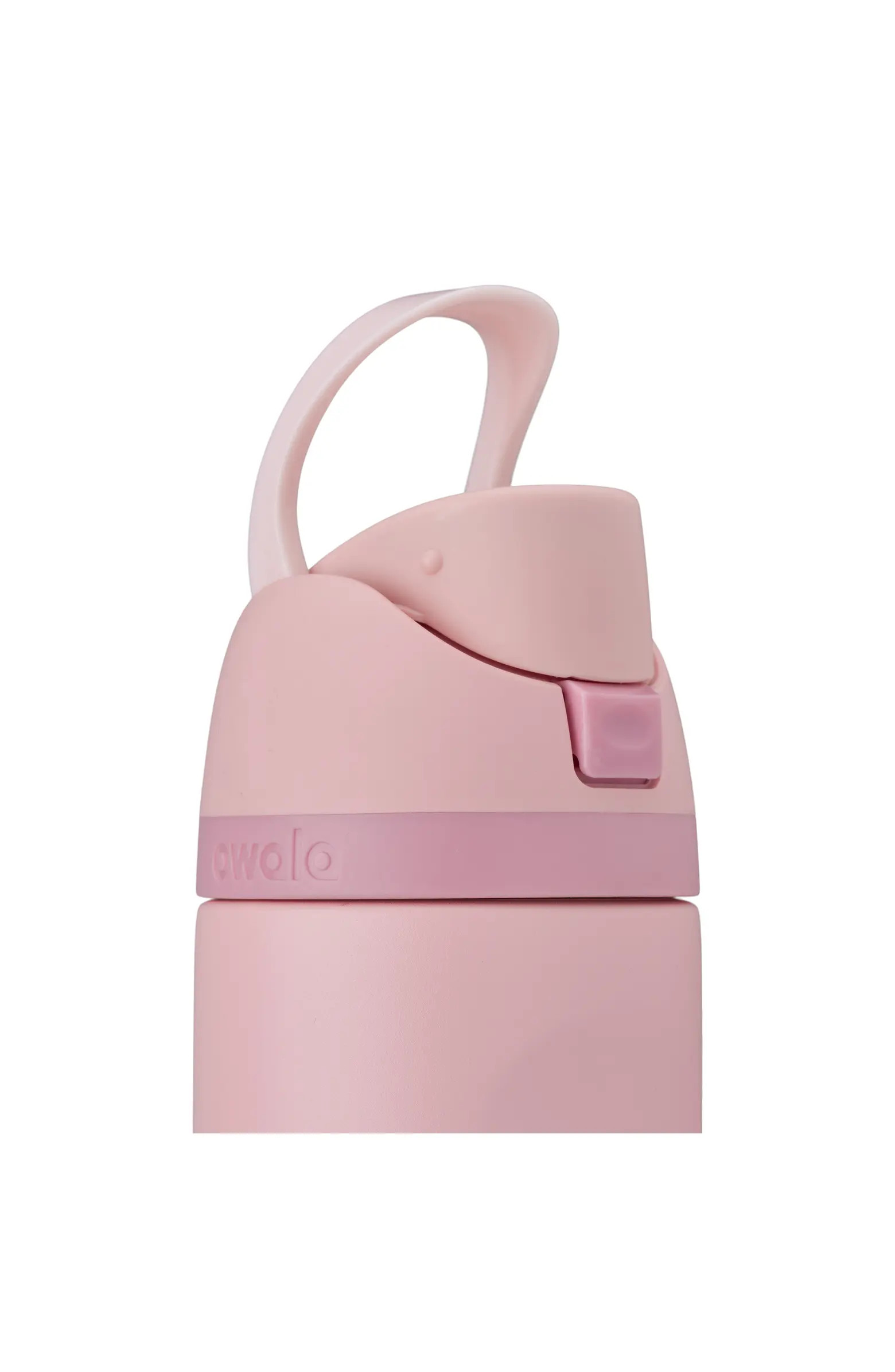 24oz. FreeSip Stainless Steel Water Bottle | Nordstrom