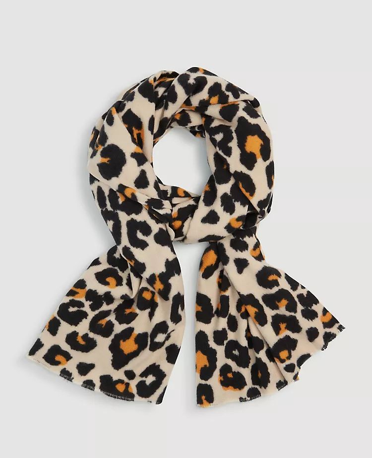 Leopard Print Blanket Scarf | Ann Taylor | Ann Taylor (US)