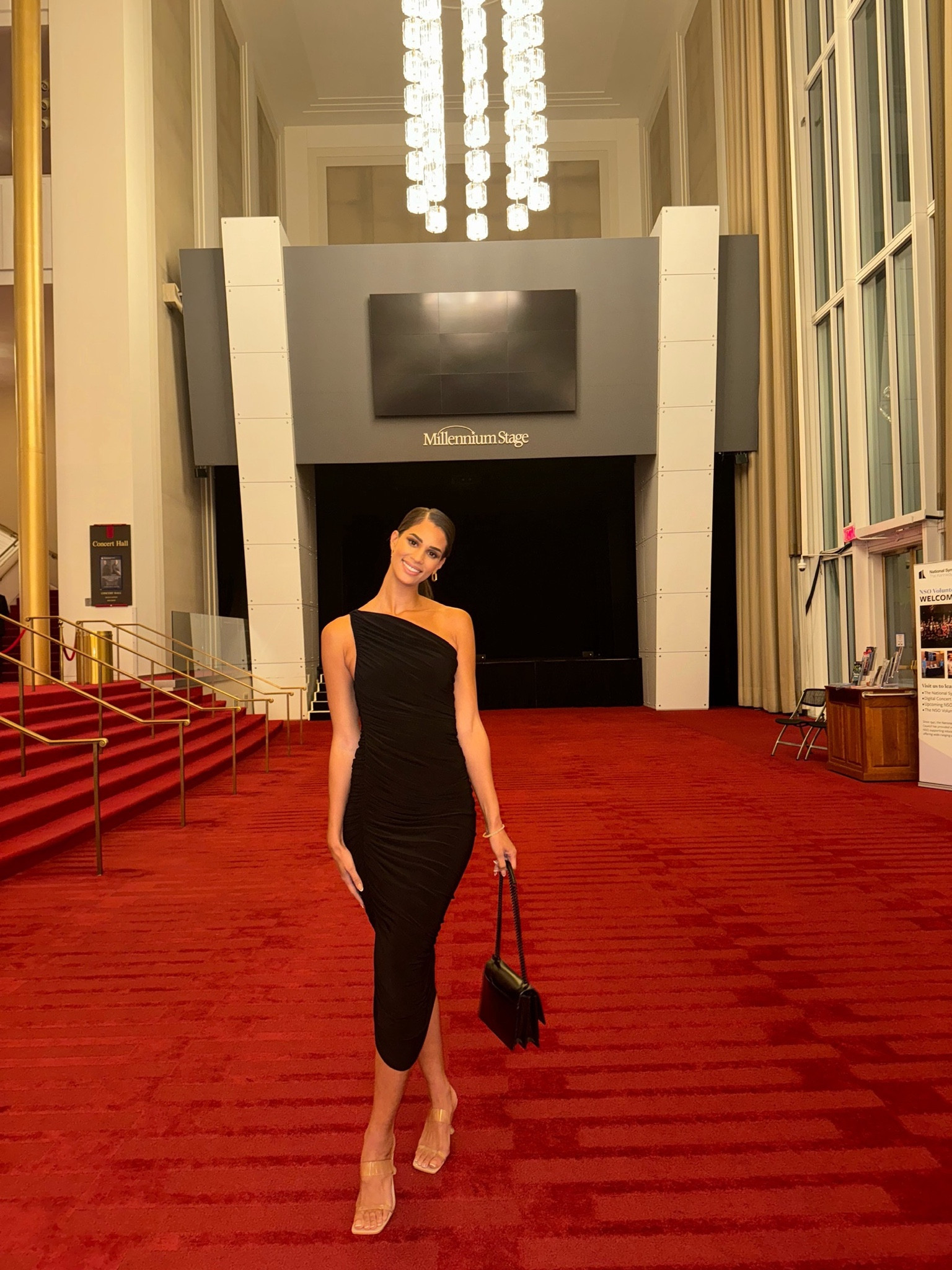 Dress is Normal Kamali & bag is YSL