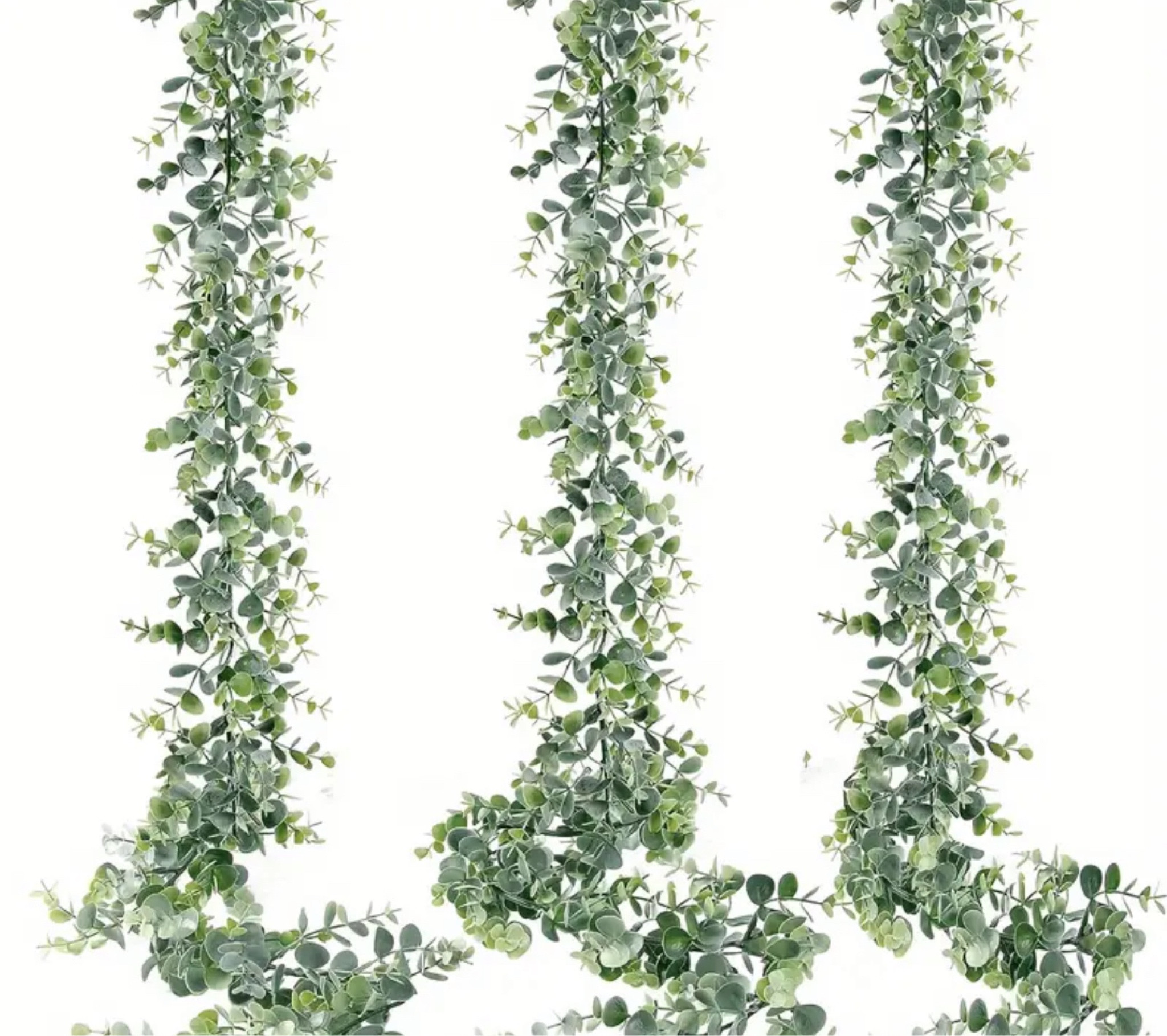 Greenery for weddingg

#LTKwedding #LTKhome #LTKfindsunder100