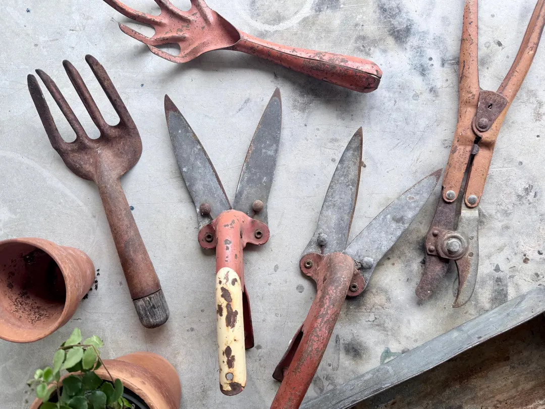 Vintage Rustic Garden Tools 3 Tine Hand Rakes Vintage Gardening Spring Decor Potting Bench Greenh... | Etsy (US)