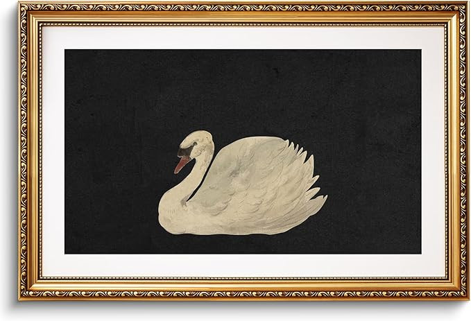 VIYYIEA Gold Framed Large Swan Decor Wall Art Canvas Print Vintage Grace Swan Art Painting Pictur... | Amazon (US)