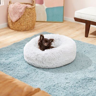 Frisco Eyelash Cat & Dog Bolster Bed | Chewy.com