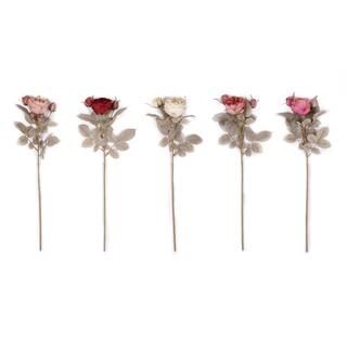 Assorted Dry Closed Rose Stem by Ashland® | Michaels Stores