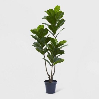 65" Fiddle Leaf Tree UV Resistant - Nearly Natural | Target