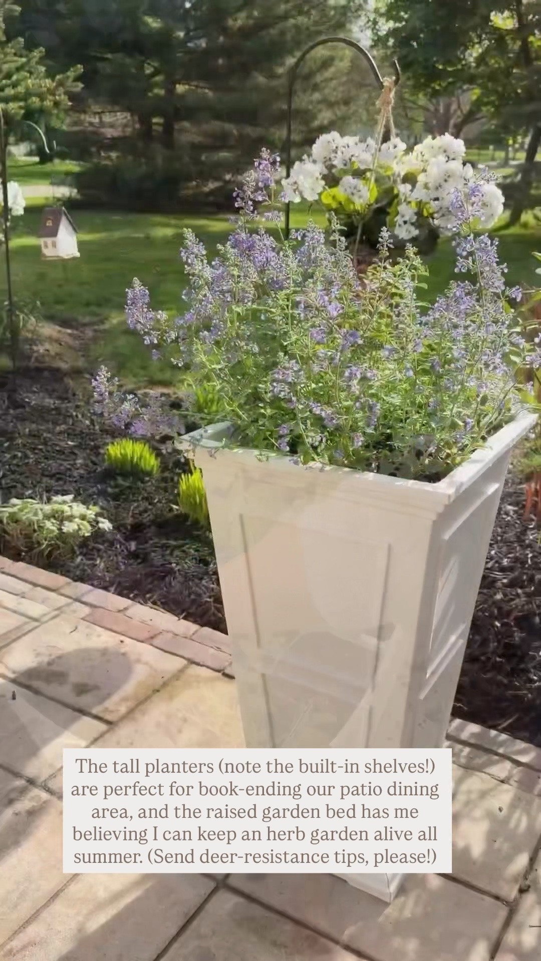 Loving these planters!

#LTKHome #LTKSeasonal