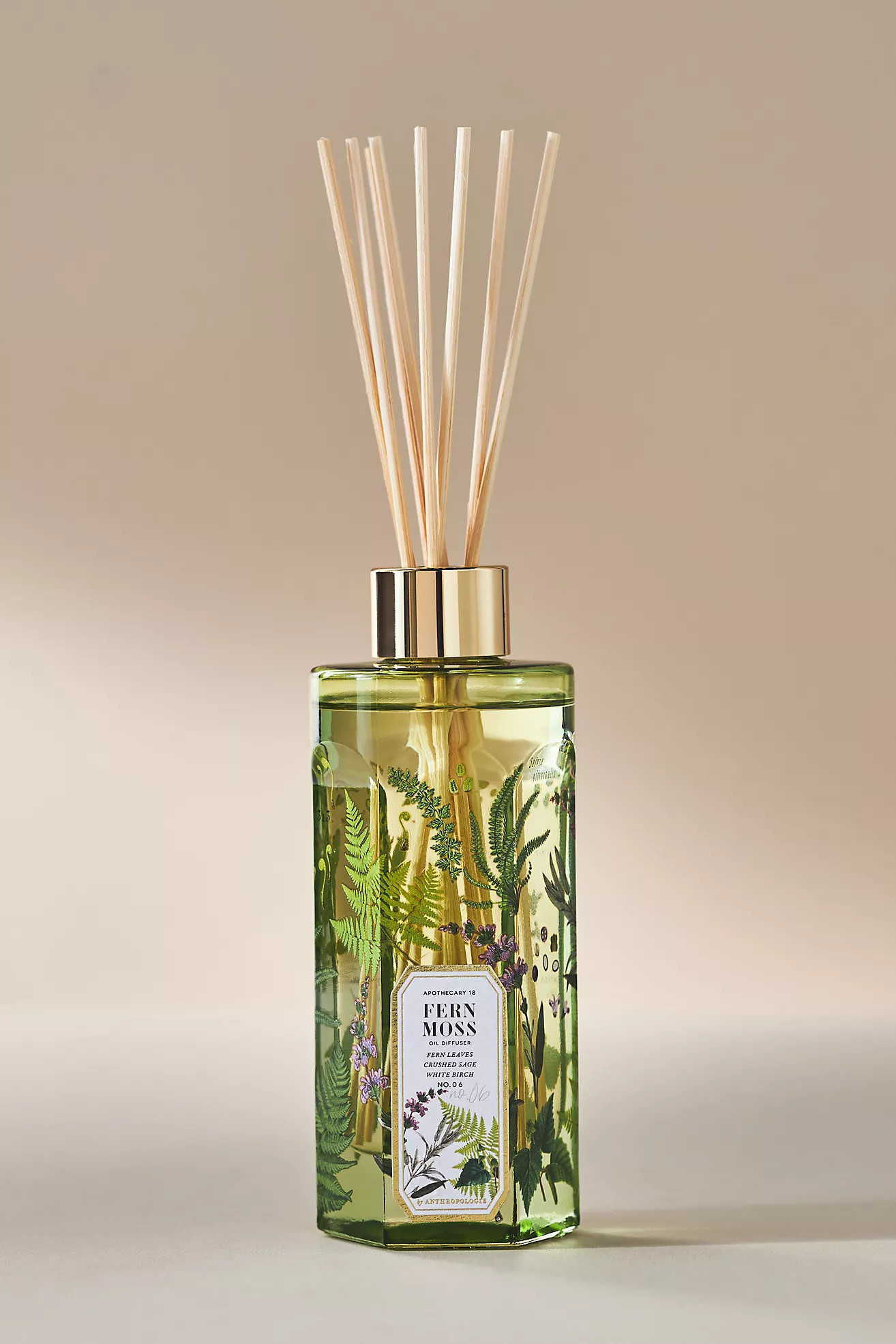 Apothecary 18 Fresh Fern Moss Reed Diffuser | Anthropologie (US)