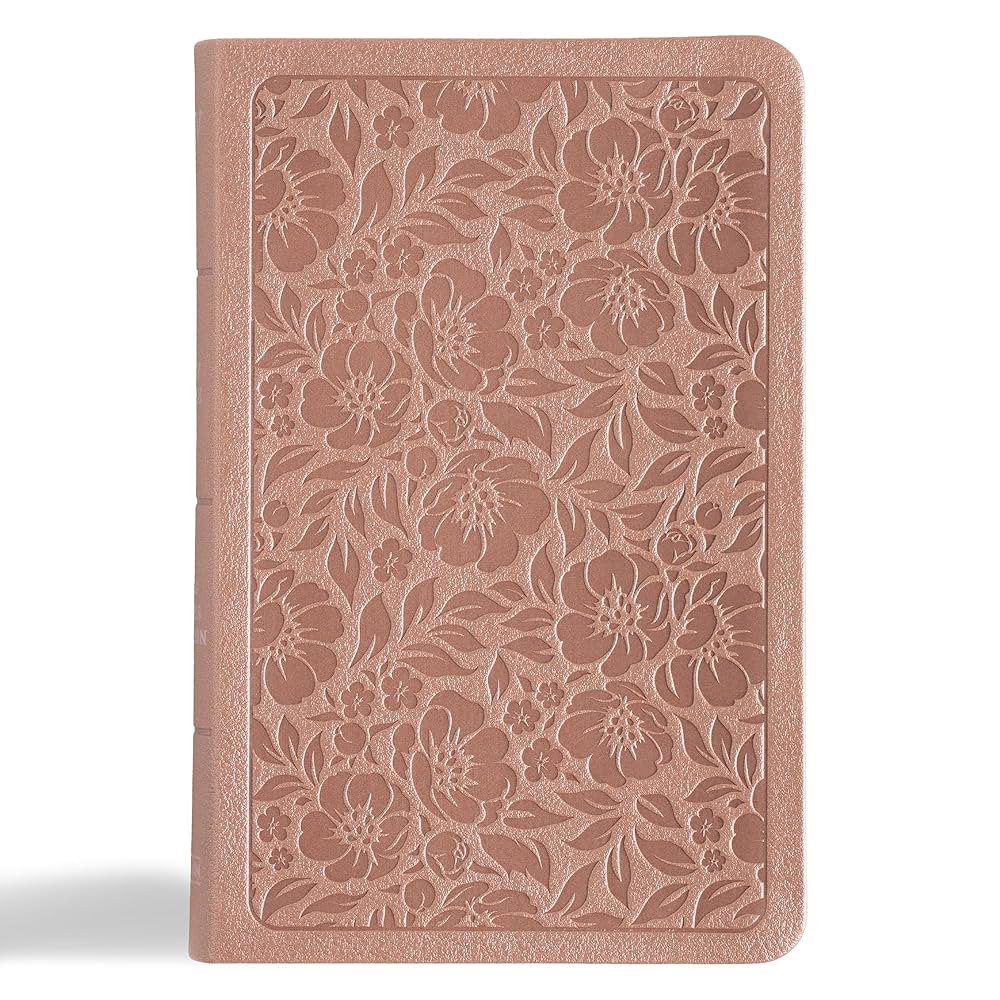 KJV Personal Size Bible, Rose Gold LeatherTouch, KJV Holy Bible, Compact and Portable, Red Letter... | Amazon (US)