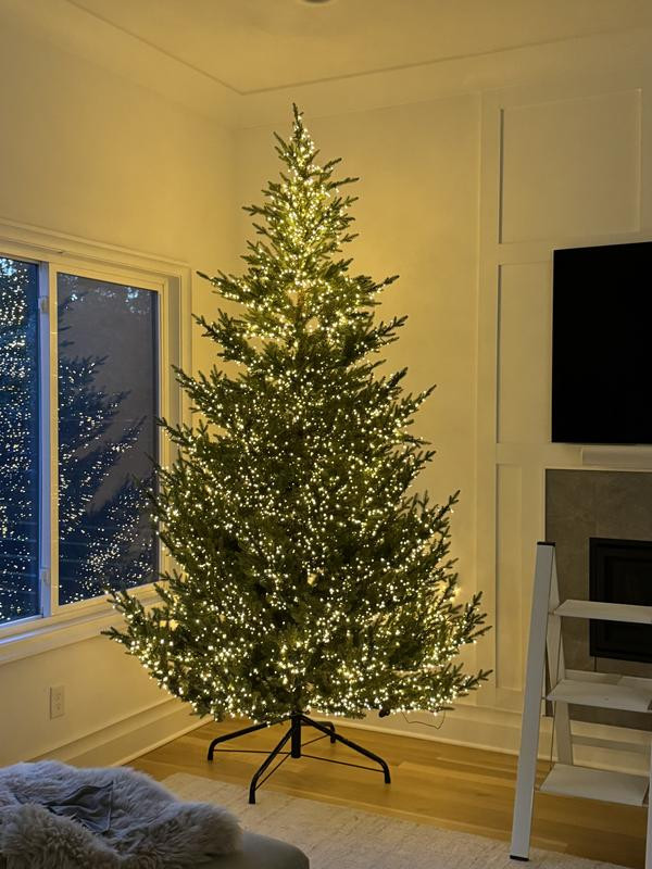 Faux Twinkling Pre-Lit Norway Spruce | Anthropologie (US)