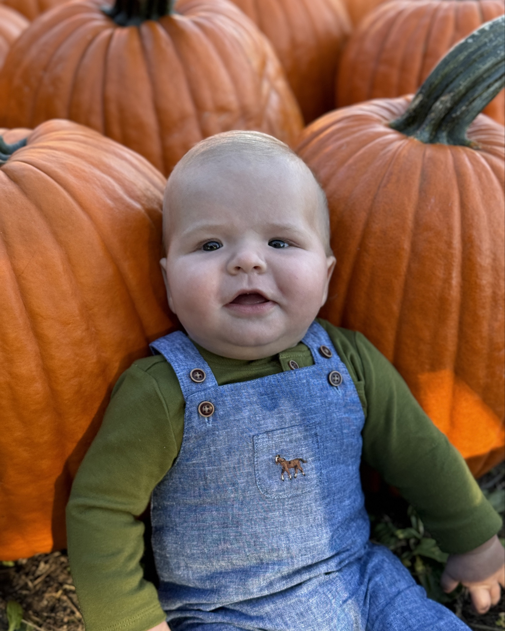 Baby- loving this little Jack & Janie fall outfit. 🎃

#LTKBump #LTKFamily #LTKBaby