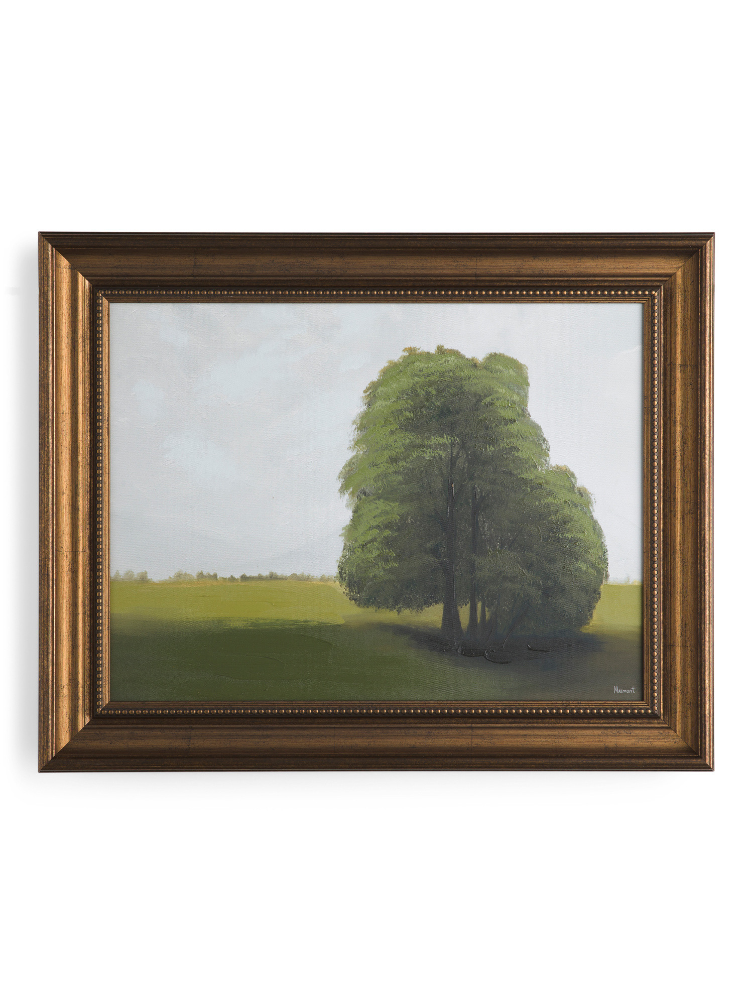 20x25 Joshua Tree Framed Wall Art | Pillows & Decor | Marshalls | Marshalls