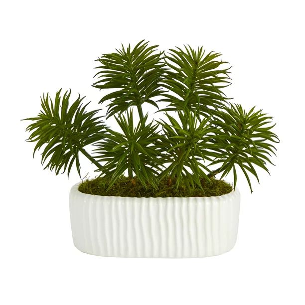 Nearly Natural 10in. Succulent Artificial Plant in White Planter - Walmart.com | Walmart (US)