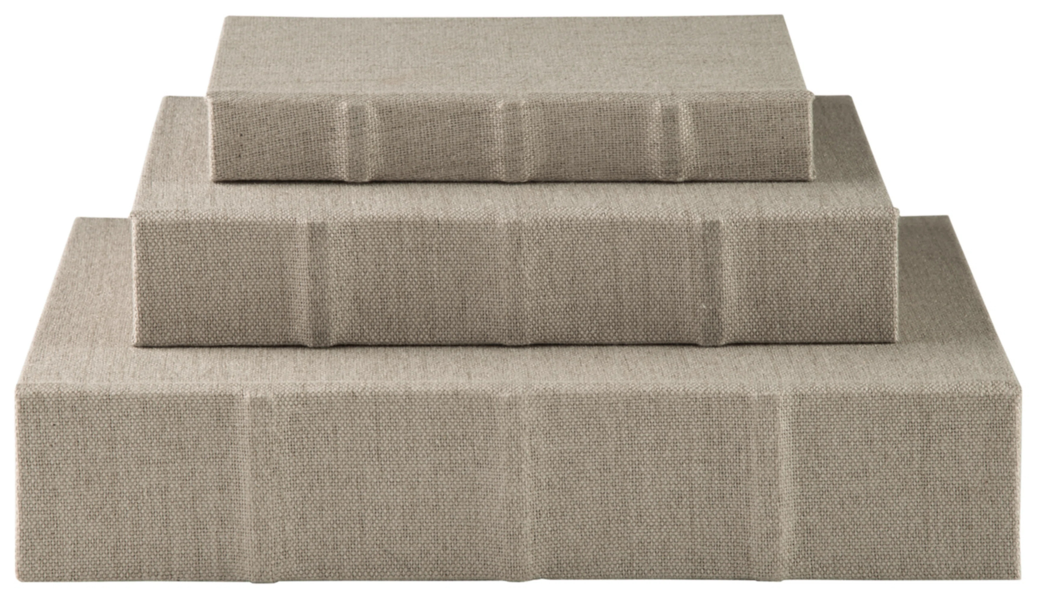 Ebern Designs Kepir Jolina Box Set, Set Of 3 & Reviews | Wayfair | Wayfair North America