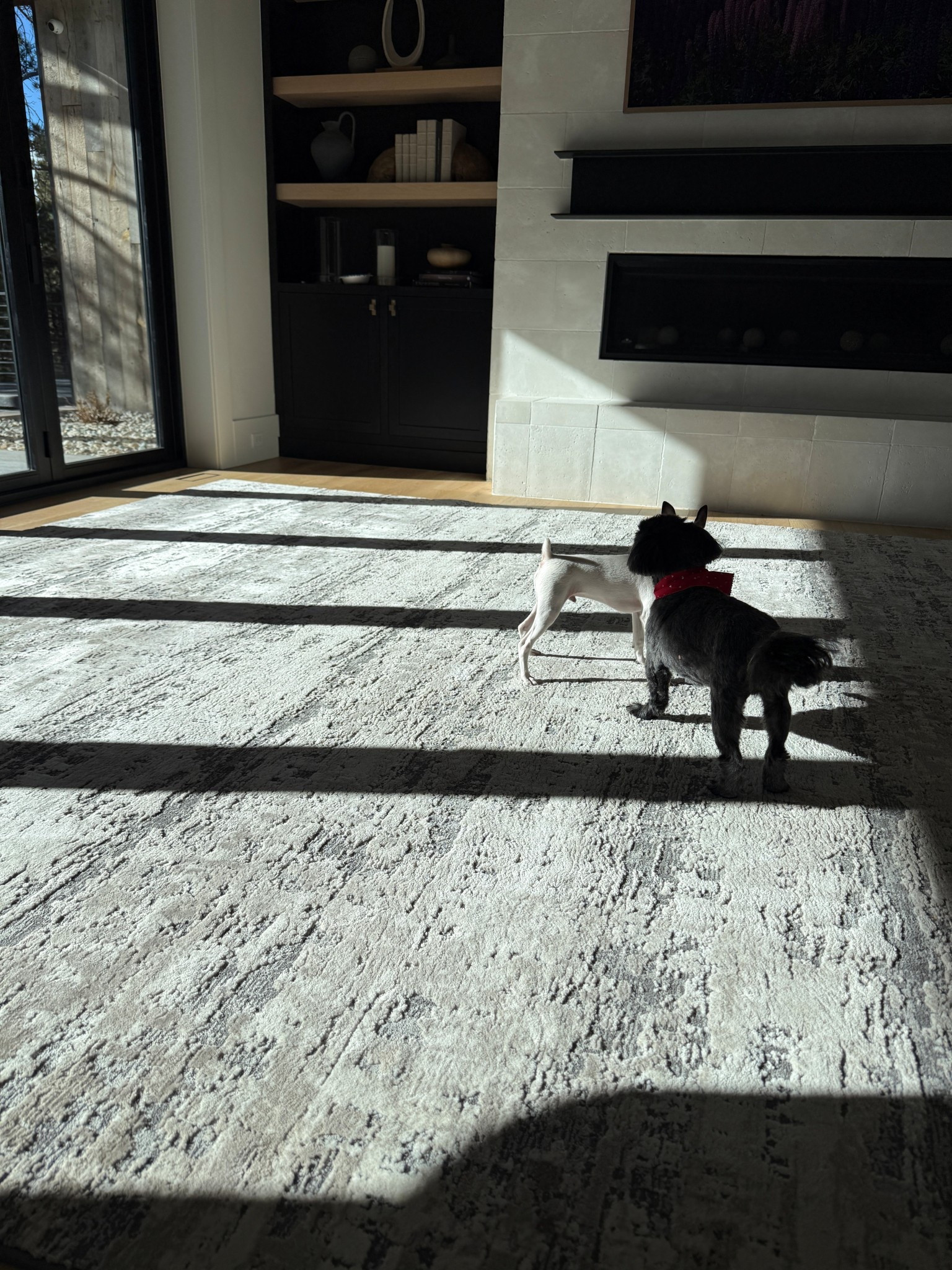 This rug is custom made from carpet. You can find all the details here: https://melissa-liddiard.mykajabi.com/custom-rug-guide


#LTKHome #LTKmomlife #LTKdayinmylife