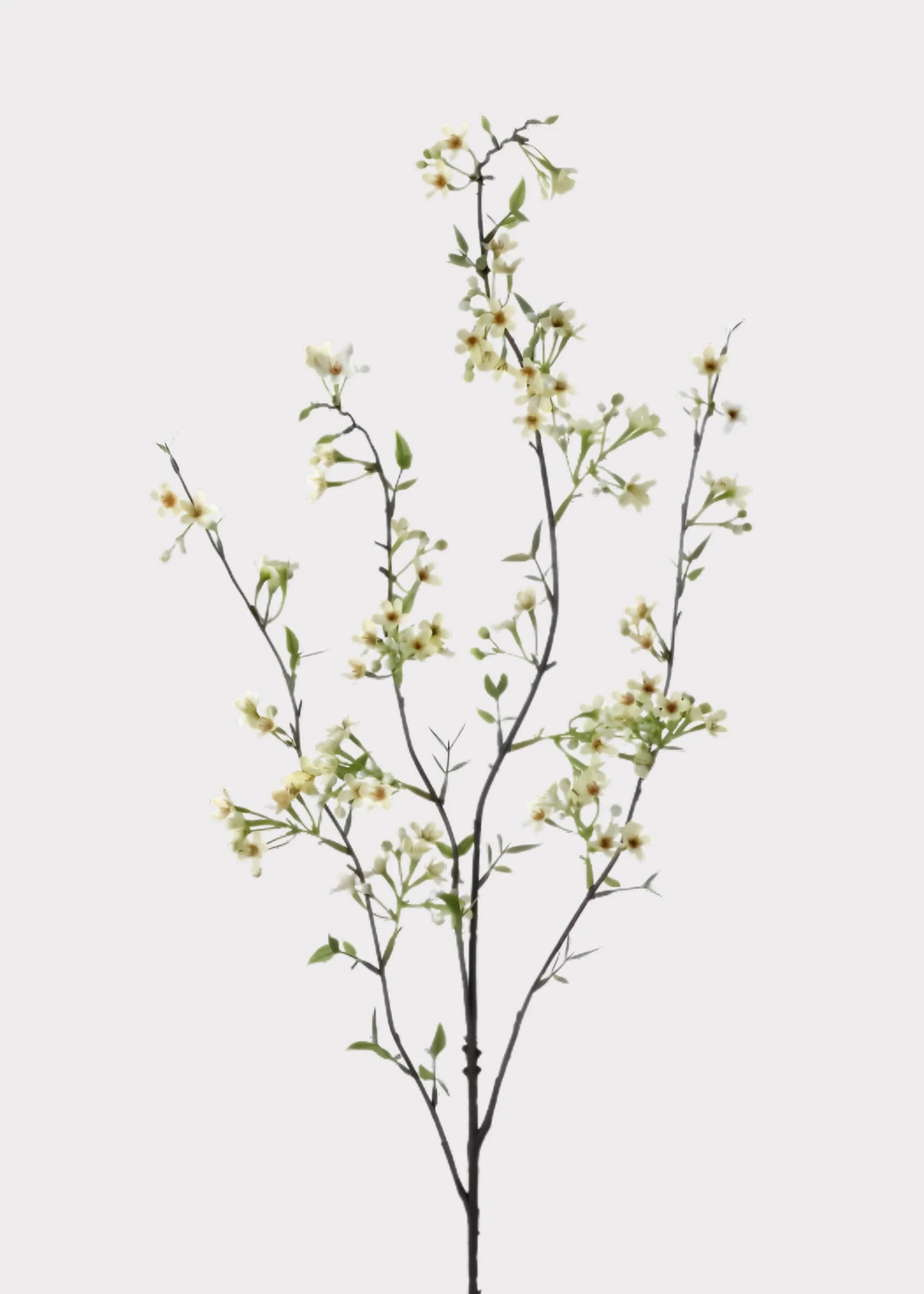 Green Artificial Waxflower Blossom Branch - 40" | Afloral