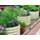 Vego Garden  17 in. 6 in 1 Modular Metal Raised Garden Bed | Tractor Supply