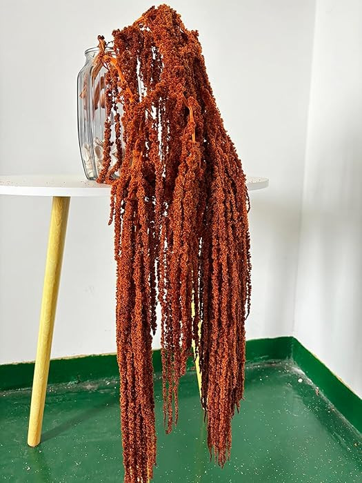 5 Pcs Bleached Wisteria Vine Hanging Dried Flowers, Natural Preserved Hanging Amaranthus Flowers ... | Amazon (US)