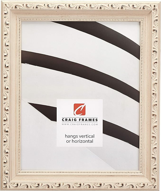 Craig Frames Ancien Ornate Picture Frame, 18 x 24 Inch, Off-White | Amazon (US)