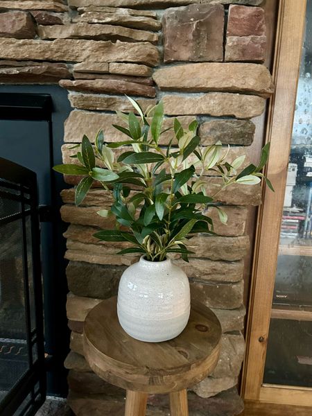I love this little faux Olive plant … and it’s under $13!!! 

#LTKSeasonal #LTKhome #LTKGiftGuide