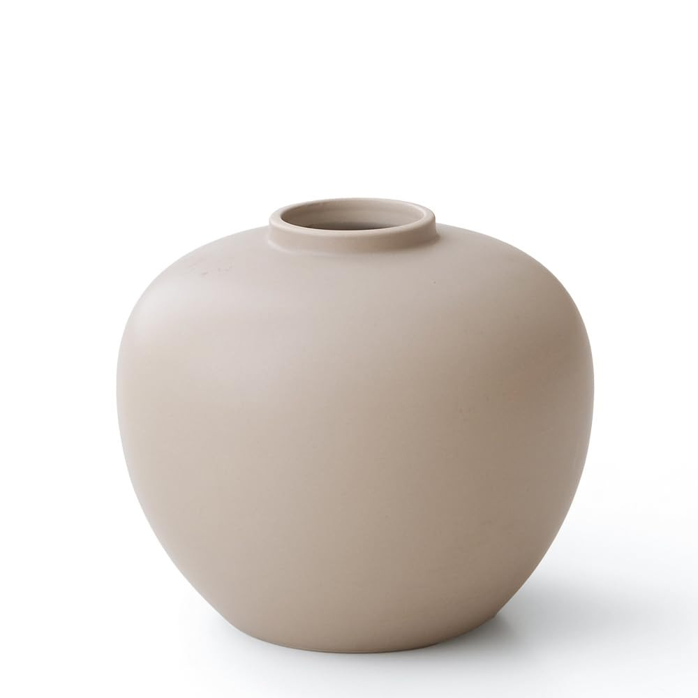 Full Moon Designed Vase, Shaping Flower Art and Displaying Hydroponic Plants, 6.5" × 7.2" (Cocon... | Amazon (US)