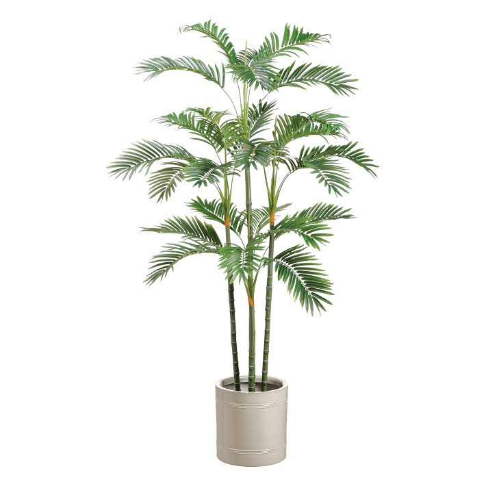 Faux Areca Palm Tree in White Pot, 73" | Williams-Sonoma